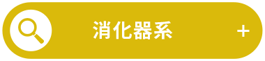 消化器系